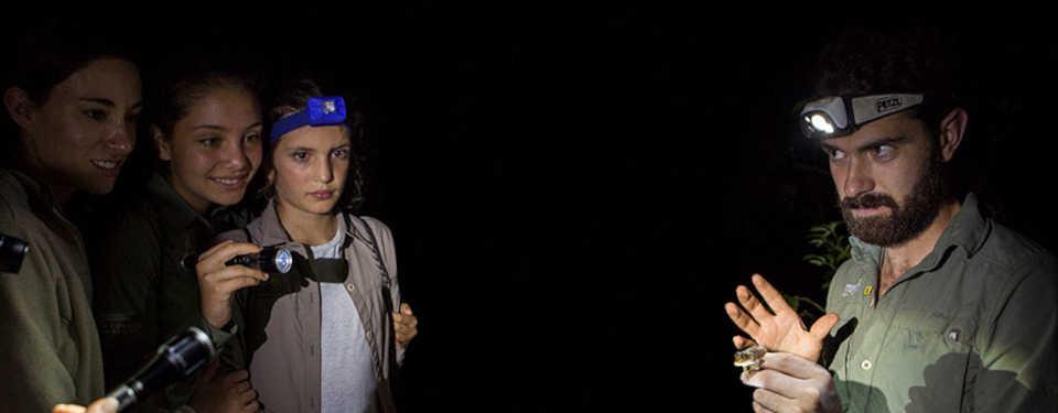 nightwalk-mashpi-lodge-ecuador.jpg